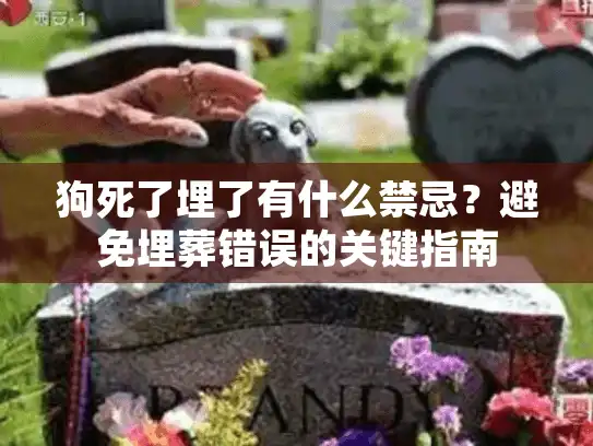 狗死了埋了有什么禁忌？避免埋葬错误的关键指南