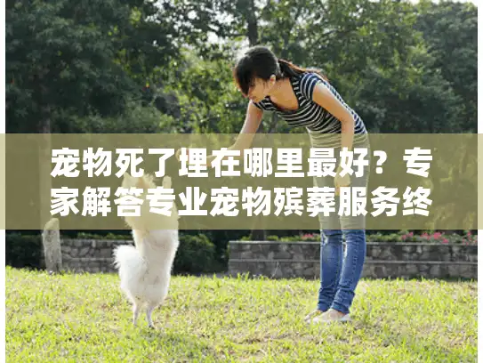 宠物死了埋在哪里最好？专家解答专业宠物殡葬服务终极指南