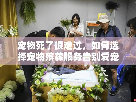 宠物死了很难过，如何选择宠物殡葬服务告别爱宠？