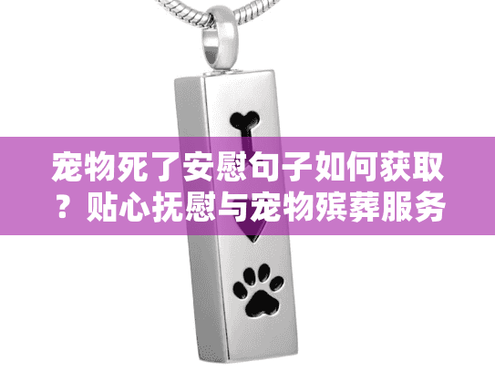 宠物死了安慰句子如何获取?贴心抚慰与宠物殡葬服务选择指南 宠物死了安慰句子如何获取?贴心抚慰与宠物殡葬服务选择指南