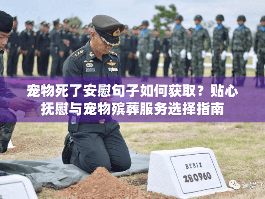 宠物死了安慰句子如何获取?贴心抚慰与宠物殡葬服务选择指南 宠物死了安慰句子如何获取?贴心抚慰与宠物殡葬服务选择指南