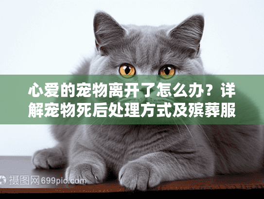 心爱的宠物离开了怎么办？详解宠物死后处理方式及殡葬服务选择