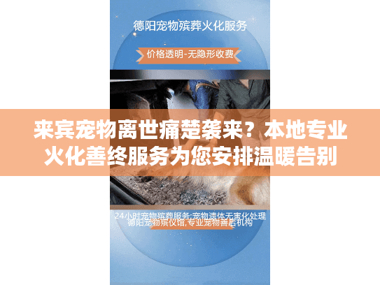 来宾宠物离世痛楚袭来？本地专业火化善终服务为您安排温暖告别