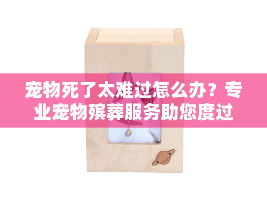 宠物死了太难过怎么办？专业宠物殡葬服务助您度过悲痛时刻