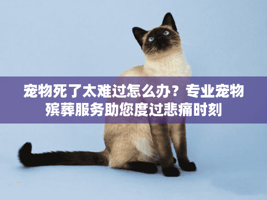 宠物死了太难过怎么办？专业宠物殡葬服务助您度过悲痛时刻