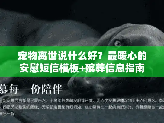 宠物离世说什么好？最暖心的安慰短信模板+殡葬信息指南