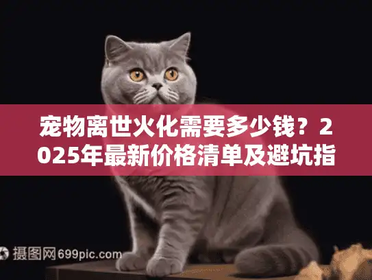 宠物离世火化需要多少钱？2025年最新价格清单及避坑指南