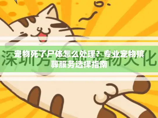 宠物死了尸体怎么处理？专业宠物殡葬服务选择指南