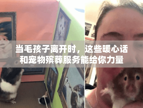 当毛孩子离开时，这些暖心话和宠物殡葬服务能给你力量