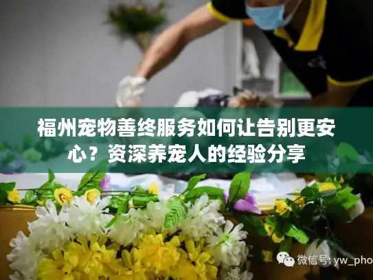 福州宠物善终服务如何让告别更安心？资深养宠人的经验分享