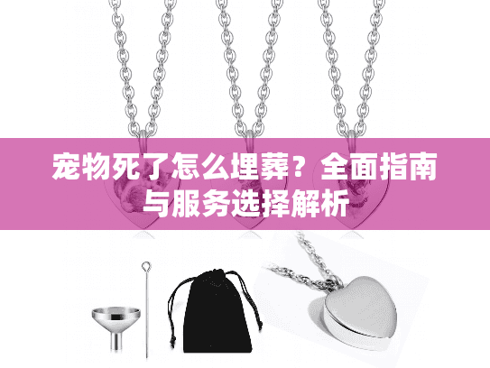 宠物死了怎么埋葬？全面指南与服务选择解析
