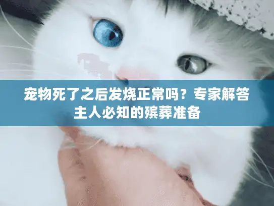 宠物死了之后发烧正常吗？专家解答主人必知的殡葬准备
