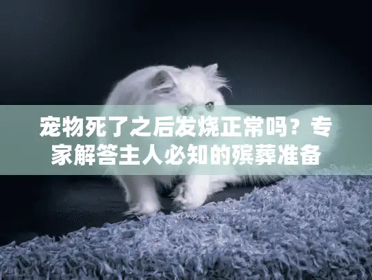 宠物死了之后发烧正常吗？专家解答主人必知的殡葬准备