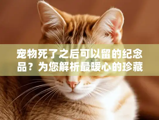 宠物死了之后可以留的纪念品？为您解析最暖心的珍藏选项