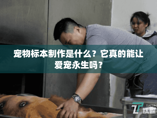 宠物标本制作是什么?它真的能让爱宠永生吗? 宠物标本制作是什么?它真的能让爱宠永生吗?