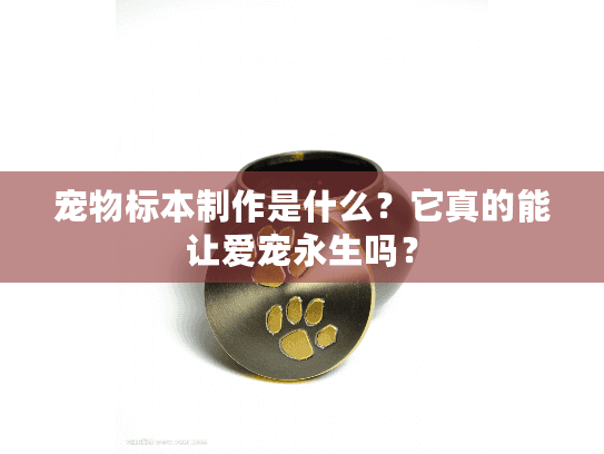 宠物标本制作是什么?它真的能让爱宠永生吗? 宠物标本制作是什么?它真的能让爱宠永生吗?