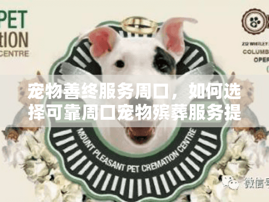 宠物善终服务周口,如何选择可靠周口宠物殡葬服务提供商? 宠物善终服务周口,如何选择可靠周口宠物殡葬服务提供商?