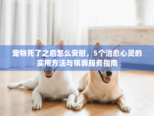 宠物死了之后怎么安慰，5个治愈心灵的实用方法与殡葬服务指南