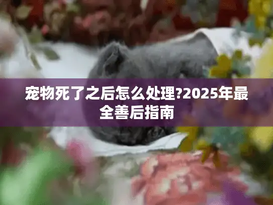 宠物死了之后怎么处理?2025年最全善后指南