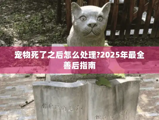 宠物死了之后怎么处理?2025年最全善后指南