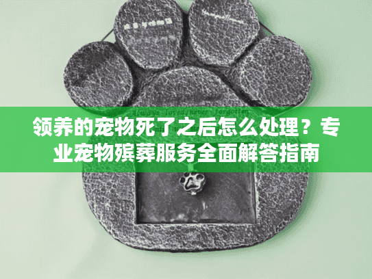 领养的宠物死了之后怎么处理?专业宠物殡葬服务全面解答指南 领养的宠物死了之后怎么处理?专业宠物殡葬服务全面解答指南