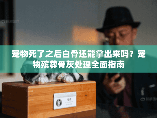 宠物死了之后白骨还能拿出来吗？宠物殡葬骨灰处理全面指南