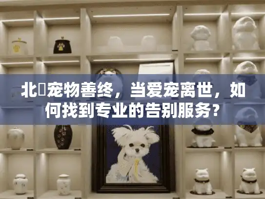 北滘宠物善终,当爱宠离世,如何找到专业的告别服务? 北滘宠物善终,当爱宠离世,如何找到专业的告别服务?