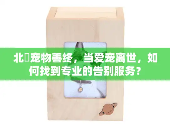 北滘宠物善终，当爱宠离世，如何找到专业的告别服务？