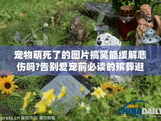 宠物萌死了的图片搞笑能缓解悲伤吗?告别爱宠前必读的殡葬避坑指南 宠物萌死了的图片搞笑能缓解悲伤吗?告别爱宠前必读的殡葬避坑指南