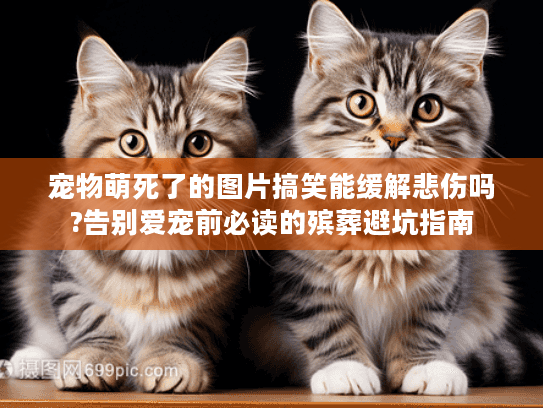宠物萌死了的图片搞笑能缓解悲伤吗?告别爱宠前必读的殡葬避坑指南 宠物萌死了的图片搞笑能缓解悲伤吗?告别爱宠前必读的殡葬避坑指南