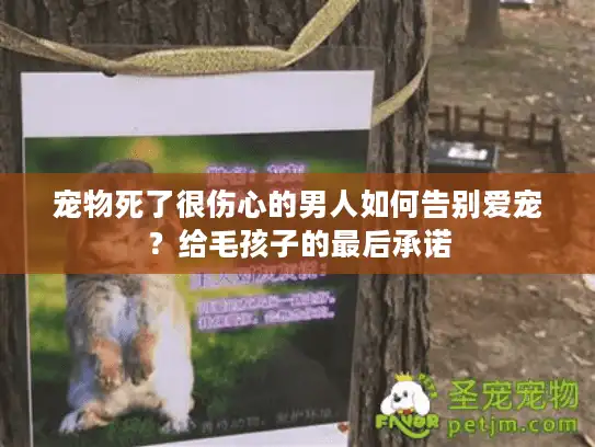 宠物死了很伤心的男人如何告别爱宠？给毛孩子的最后承诺