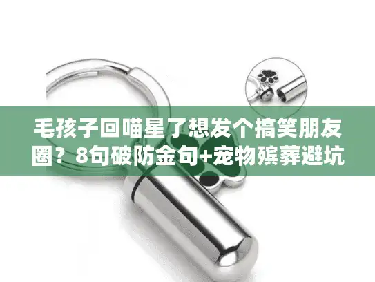 毛孩子回喵星了想发个搞笑朋友圈？8句破防金句+宠物殡葬避坑指南