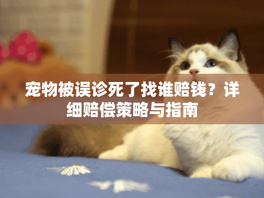 宠物被误诊死了找谁赔钱？详细赔偿策略与指南