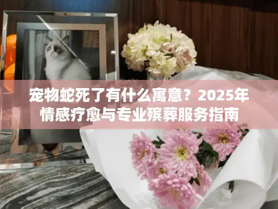宠物蛇死了有什么寓意?2025年情感疗愈与专业殡葬服务指南 宠物蛇死了有什么寓意?2025年情感疗愈与专业殡葬服务指南