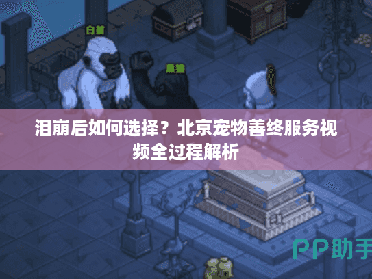 泪崩后如何选择?北京宠物善终服务视频全过程解析 泪崩后如何选择?北京宠物善终服务视频全过程解析