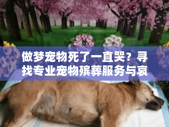 做梦宠物死了一直哭？寻找专业宠物殡葬服务与哀伤应对指南