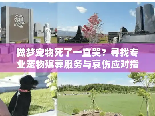 做梦宠物死了一直哭？寻找专业宠物殡葬服务与哀伤应对指南