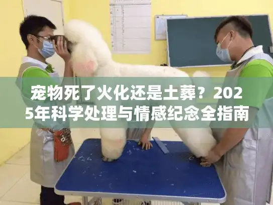 宠物死了火化还是土葬？2025年科学处理与情感纪念全指南