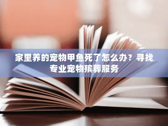 家里养的宠物甲鱼死了怎么办？寻找专业宠物殡葬服务