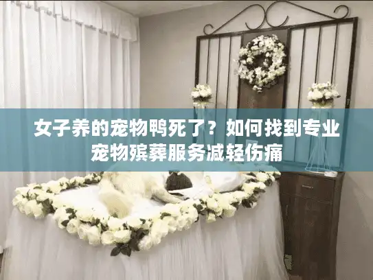 女子养的宠物鸭死了？如何找到专业宠物殡葬服务减轻伤痛