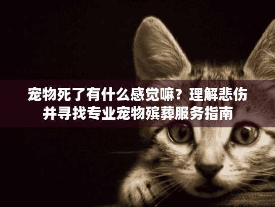 宠物死了有什么感觉嘛?理解悲伤并寻找专业宠物殡葬服务指南 宠物死了有什么感觉嘛?理解悲伤并寻找专业宠物殡葬服务指南