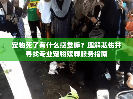 宠物死了有什么感觉嘛?理解悲伤并寻找专业宠物殡葬服务指南 宠物死了有什么感觉嘛?理解悲伤并寻找专业宠物殡葬服务指南