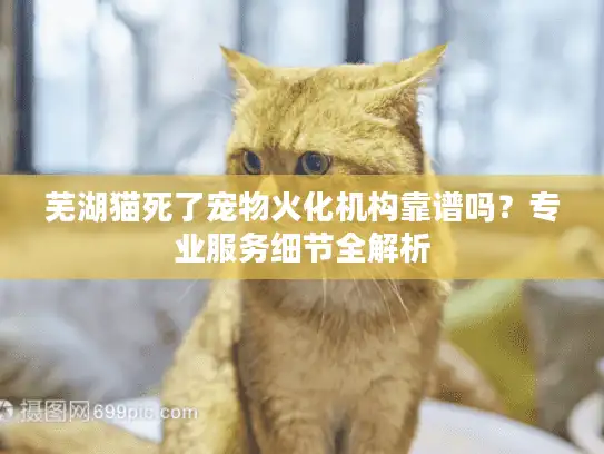 芜湖猫死了宠物火化机构靠谱吗？专业服务细节全解析