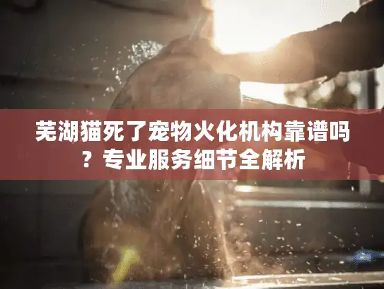 芜湖猫死了宠物火化机构靠谱吗？专业服务细节全解析