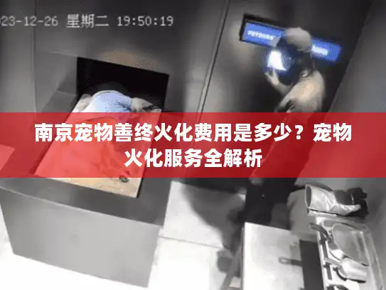 南京宠物善终火化费用是多少？宠物火化服务全解析