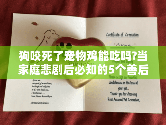 狗咬死了宠物鸡能吃吗?当家庭悲剧后必知的5个善后原则 狗咬死了宠物鸡能吃吗?当家庭悲剧后必知的5个善后原则
