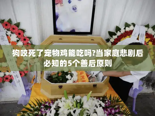 狗咬死了宠物鸡能吃吗?当家庭悲剧后必知的5个善后原则 狗咬死了宠物鸡能吃吗?当家庭悲剧后必知的5个善后原则