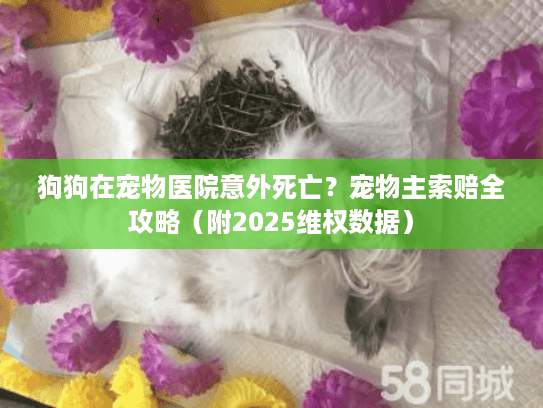 狗狗在宠物医院意外死亡？宠物主索赔全攻略（附2025维权数据）