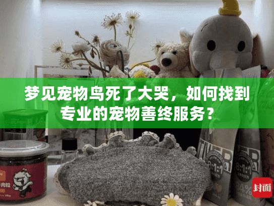 梦见宠物鸟死了大哭，如何找到专业的宠物善终服务？