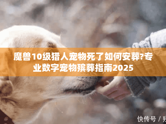 魔兽10级猎人宠物死了如何安葬?专业数字宠物殡葬指南2025